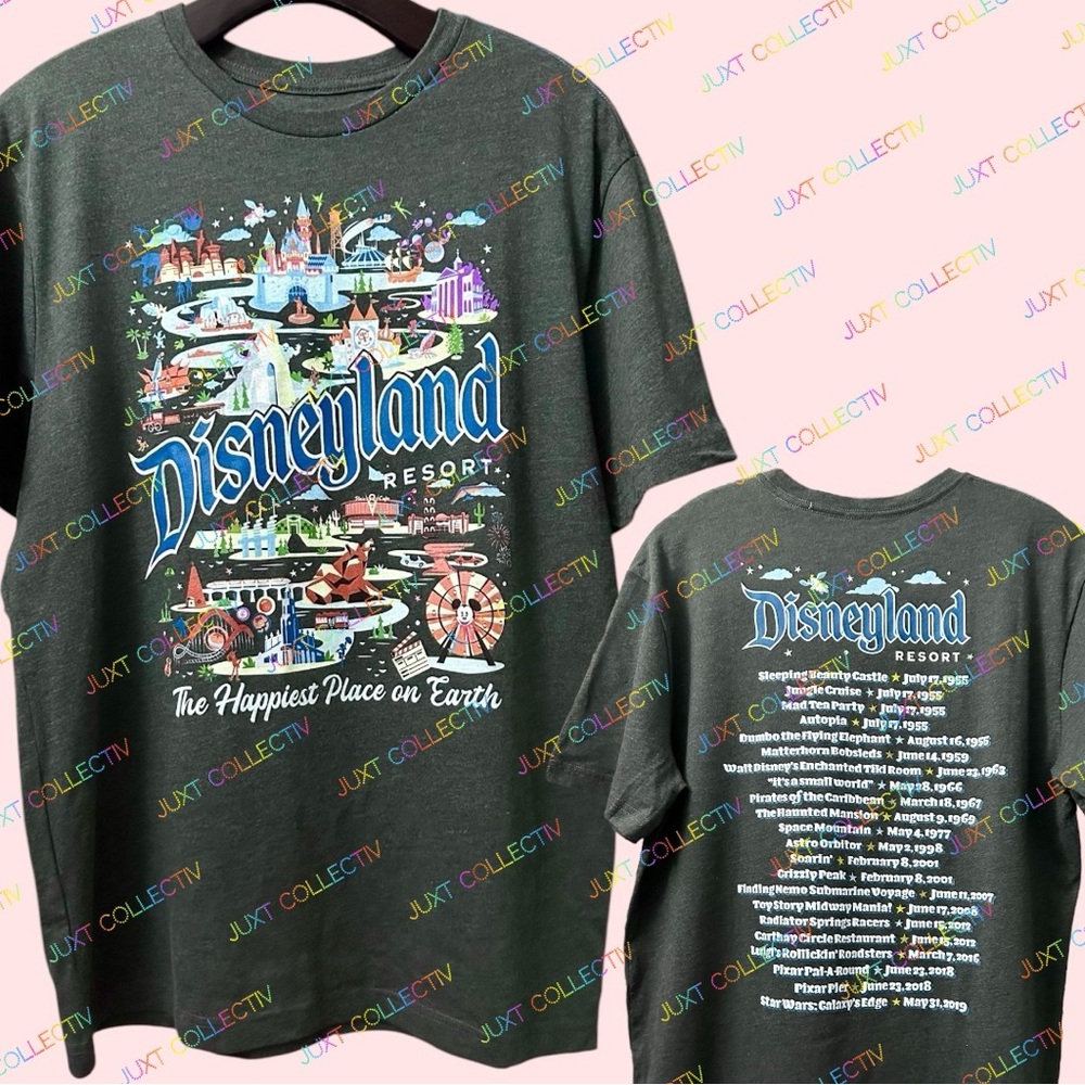 NWT Disney Parks Disneyland Attractions Gray T-Shirt
